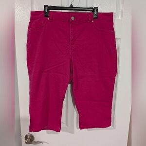D. Jeans Dark Hot Pink Capri Pant in Size 18W